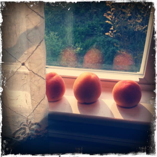 3 apricots 1