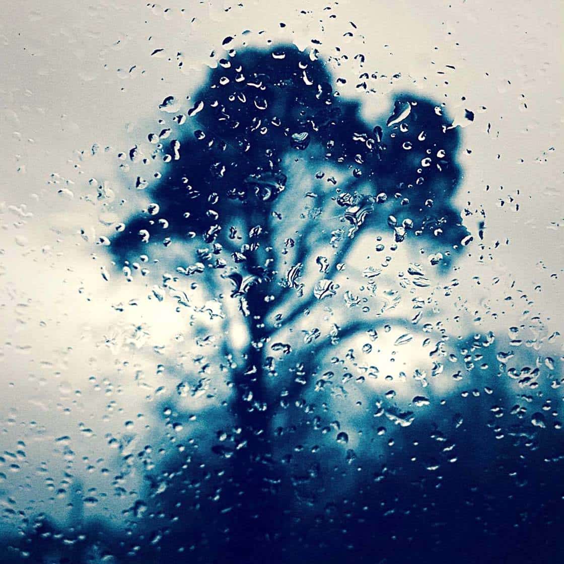 13 proyectos creativos de fotografía móvil para día de lluvia