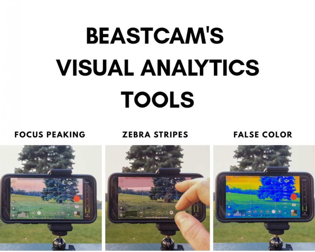 herramienta de análisis visual beastcam