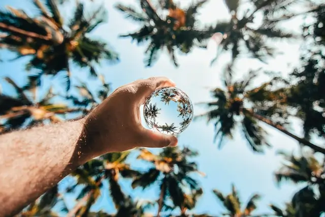 Crystal ball photo from palmtrees.webp