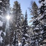 5 increíbles ideas de fotografía móvil para fotos de invierno
