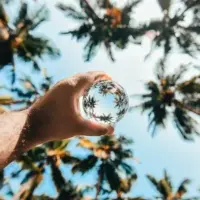 Crystal ball photo from palmtrees